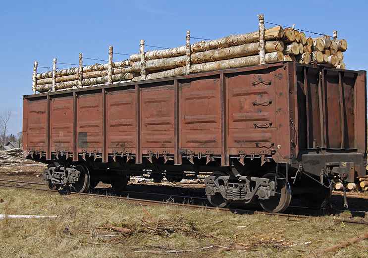 Перевозка ЛЕСА вагонами из Грязовца в Можайска